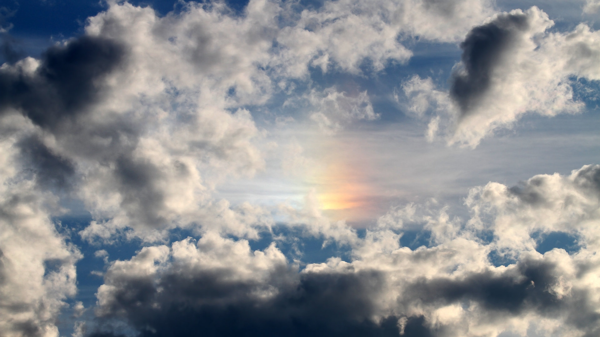 九游jiuyou-_老虎般的猛龙，鏖战到底笑到最后_，迅猛的老虎