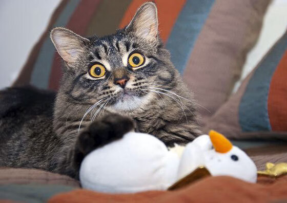 【比赛总结】那些用防守反击扭转乾坤的精彩瞬间,防守反击打法